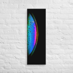 Puede incluir: Una impresión vertical en lienzo que presenta un primer plano de una colorida burbuja de jabón. La burbuja muestra un espectro de colores, incluyendo azul, verde, rosa y amarillo, sobre un fondo negro. La obra está montada en un marco rectangular.