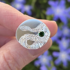 Könnte beinhalten: Ein silberfarbener runder Ansteckpin mit einem detaillierten Schlangenmuster. Die Schlange ist gewunden und hat einen kleinen, runden, grünen Edelstein als Auge. Der Pin wird vor einem verschwommenen Hintergrund aus blauen Blumen gehalten.