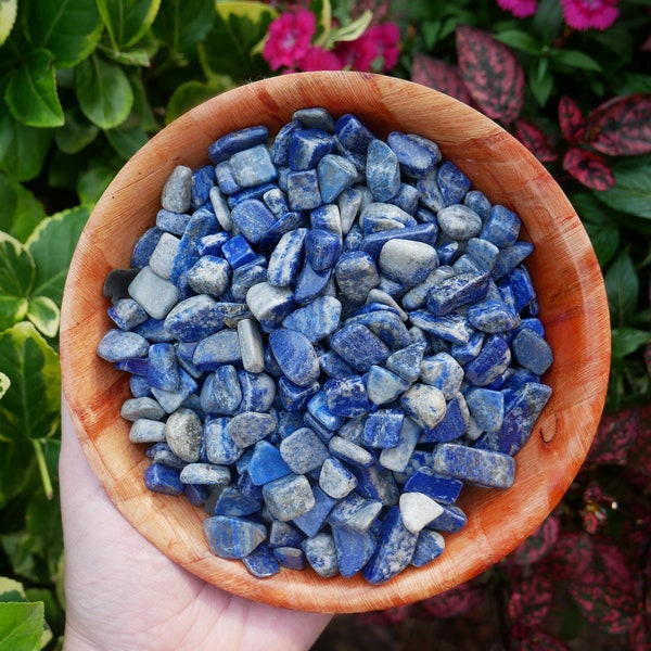 Lapis Lazuli MINI Stones - Small Gemstones - XS Crystal Chips - Stones for Crafts - Stones for Transformation - Third Eye Chakra Stones