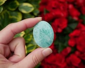 Artículos de esta tienda