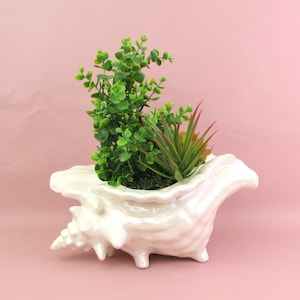 Peut inclure: Un pot en céramique blanc en forme de coquillage avec des plantes artificielles vertes et rouges. Le pot a une finition brillante et est posé sur un fond rose. Les plantes comprennent un petit feuillage vert et une plante succulente.