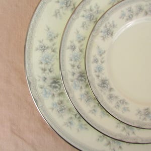 Noritake Buena Vista - Etsy