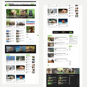 Pode incluir: Dois layouts de sites com artigos sobre animais. O layout esquerdo tem um cabeçalho verde com o texto "ANIMAL NEWS". Os artigos incluem tópicos como caça furtiva, cuidados com cães e espécies de aves.