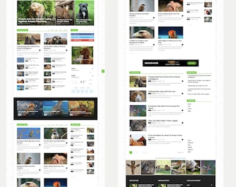Optimiertes Auto Blog WordPress | Automatisierter Inhalt Website | ai Inhalt Website WordPress Template
