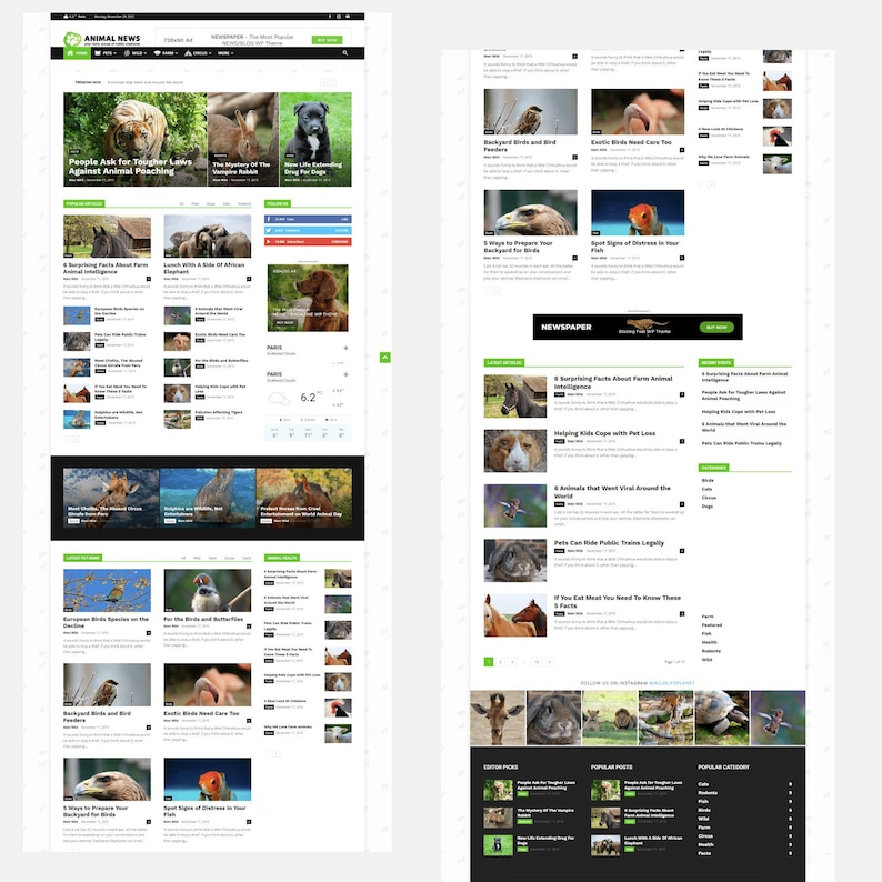 May include: A website layout with a white background and green accents, featuring articles about animals. The top section displays a banner with the text "ANIMAL NEWS." Articles include images of various animals, such as dogs, birds, and lions.