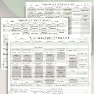May include: Weekly planner with six different design options, including Carta, A4, and A5 sizes. The design features a detailed layout for scheduling daily activities, with sections for each day of the week, and includes space for notes and goals.