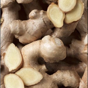 May include: A collection of raw ginger roots with light tan, textured skin and several cross-section slices revealing a pale, fibrous, cream-colored interior. The ginger pieces are clustered together, showing irregular, knobby shapes and smooth surfaces.