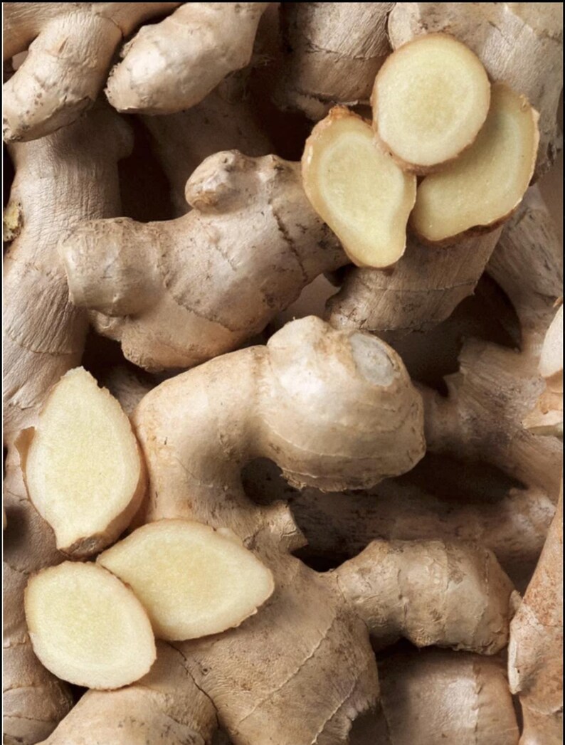 May include: A collection of raw ginger roots with light tan, textured skin and several cross-section slices revealing a pale, fibrous, cream-colored interior. The ginger pieces are clustered together, showing irregular, knobby shapes and smooth surfaces.