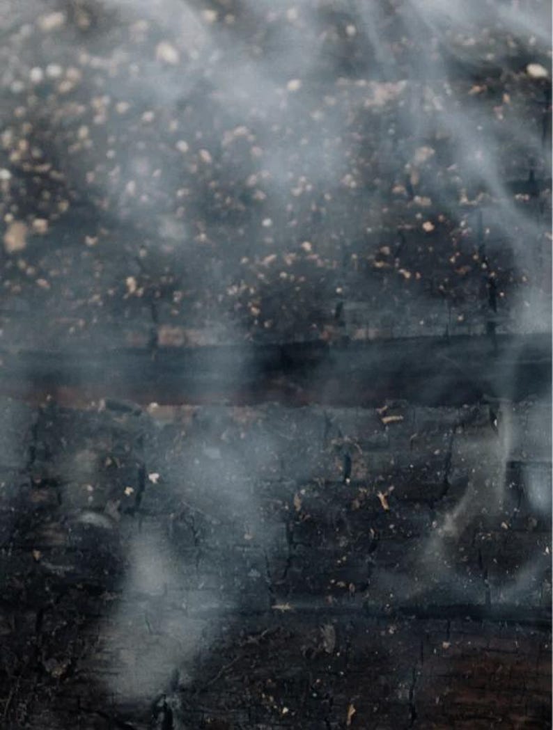 May include: Close-up of charred wood with wisps of smoke rising. The wood is dark brown and black, with visible cracks and textures. Small, light-colored particles are scattered across the surface, creating a contrast with the dark background. The image evokes a sense of heat and burning.