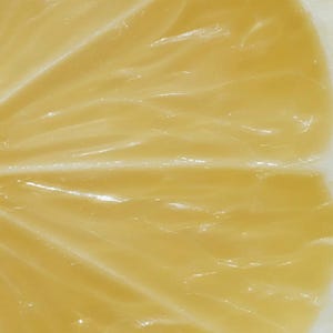 K&ouml;nnte beinhalten: Nahaufnahme einer Zitronenscheibe, die das saftige, durchscheinende Fruchtfleisch zeigt. Das leuchtend gelbe Innere ist segmentiert, mit sichtbaren Linien und einer gl&auml;nzenden Oberfl&auml;che. Die Schale ist wei&szlig; und auf der rechten Seite des Bildes sichtbar.