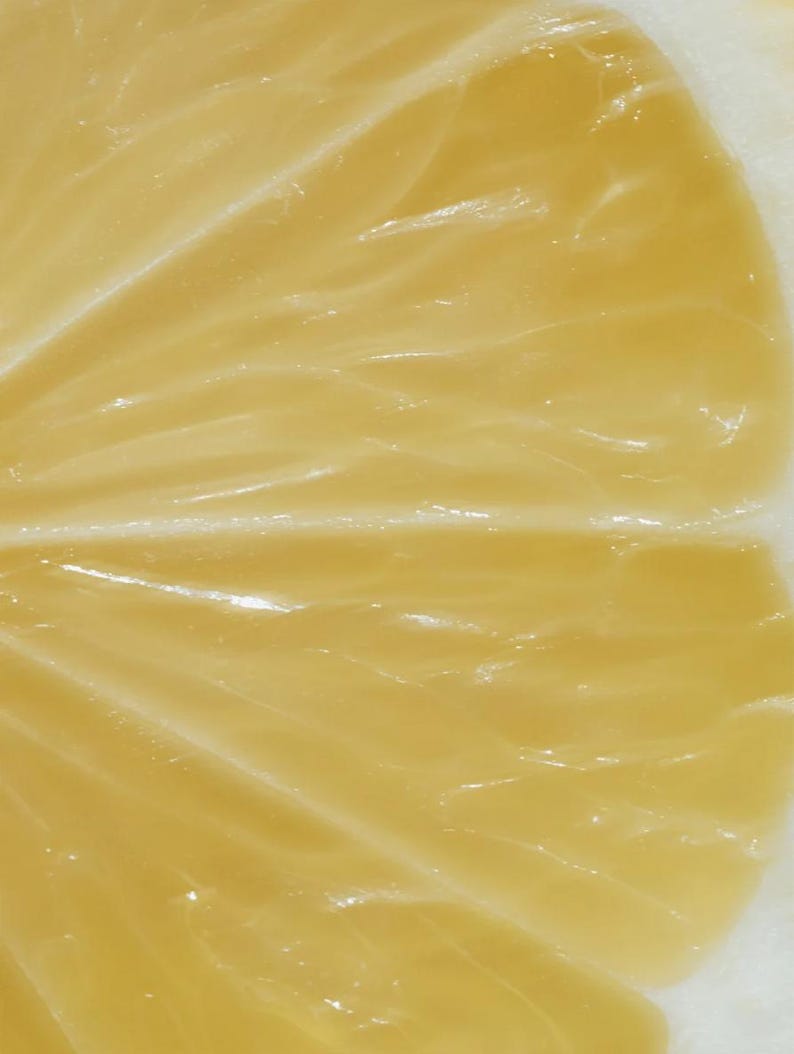 K&ouml;nnte beinhalten: Nahaufnahme einer Zitronenscheibe, die das saftige, durchscheinende Fruchtfleisch zeigt. Das leuchtend gelbe Innere ist segmentiert, mit sichtbaren Linien und einer gl&auml;nzenden Oberfl&auml;che. Die Schale ist wei&szlig; und auf der rechten Seite des Bildes sichtbar.