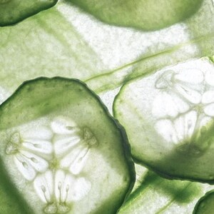 May include: Close-up of translucent cucumber slices, showcasing the inner structure. The slices are a vibrant green with visible seeds and a delicate, almost transparent texture. The image highlights the natural patterns and freshness of the vegetable.