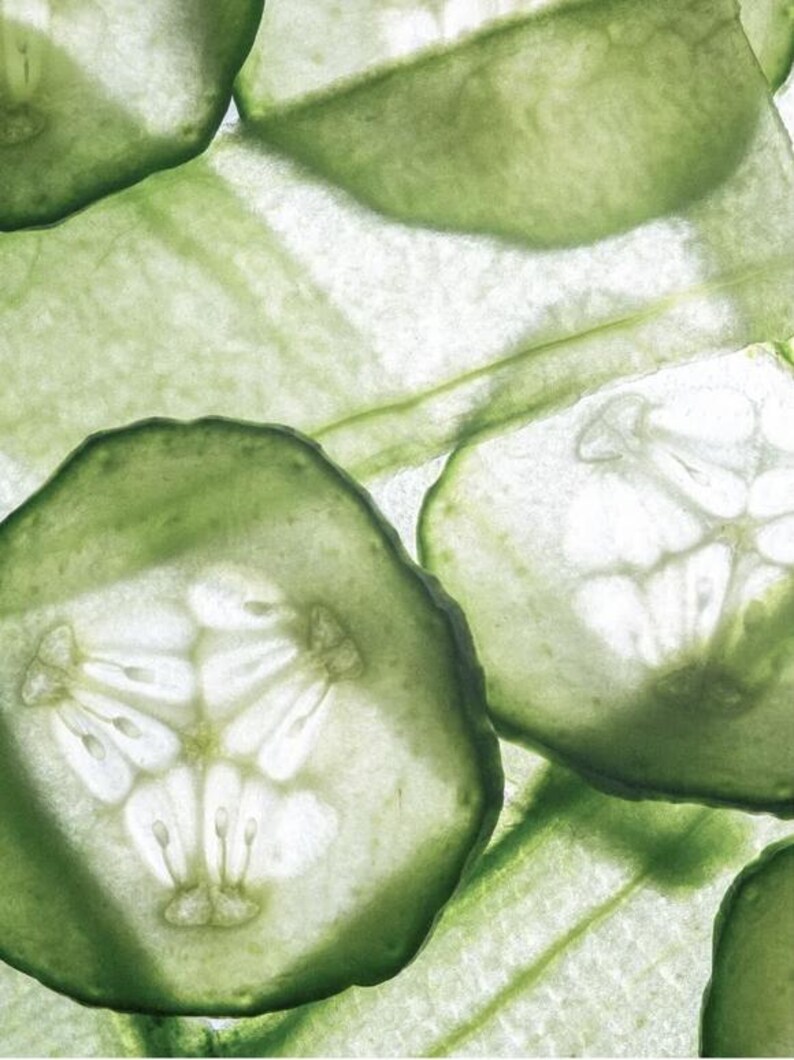 May include: Close-up of translucent cucumber slices, showcasing the inner structure. The slices are a vibrant green with visible seeds and a delicate, almost transparent texture. The image highlights the natural patterns and freshness of the vegetable.