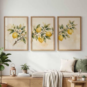 Juego de 3 láminas de arte mural de limones en acuarela, láminas botánicas de cítricos, obras de arte de ramas de limoneros italianos, arte mural de limones