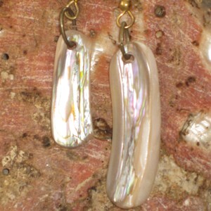 Abalone Shell Earrings Iridescent Natural Jewelry Gift For Her Natural Jewelry From Mother Earths Ocean Asymmetrical Dangle Earrings