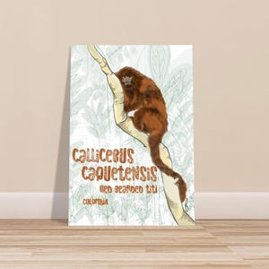 Puede incluir: Un estampado que presenta un mono tití rojo posado en una rama, con el nombre científico Callicebus Caquetensis y las palabras "Red Beaded Titi" y "Colombia" en fuente marrón. El fondo tiene un patrón de hojas verde claro.