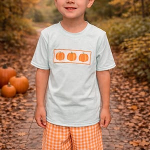 May include: A young child wearing a light blue t-shirt with three orange pumpkins in a rectangular frame. The child is also wearing orange and white checkered shorts. The background is a blurred autumn scene with pumpkins.