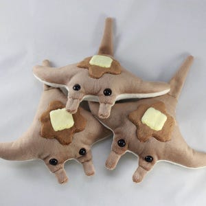 Sea Pancake Manta Ray Plush