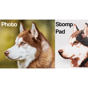 Turn Your Dog Or Any Pet Into A Snowboard Stomp Pad or 3D Sticker emblem for your car