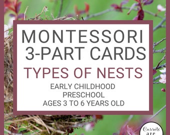 Tarjetas Montessori de 3 partes: tipos de nidos de pájaros