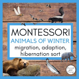 May include: A Montessori-themed educational poster with the title "Animals of Winter" and illustrations of animals that migrate, adapt, or hibernate during the winter months. The animals include a bear, a skunk, a fish, a dragonfly, geese, and an elephant.