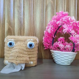 May include: A beige crocheted tissue box cover shaped like a face with a large protruding nose, blue and white eyes, and white teeth. A white tissue is pulled through the mouth. Next to it is a white basket filled with bright pink flowers.