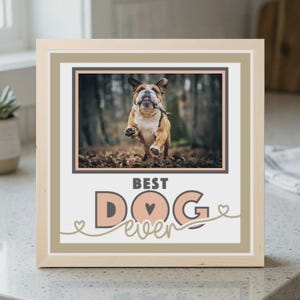 Può includere: Una stampa incorniciata con una foto di un bulldog che corre in una foresta, con un bastone in bocca. La stampa include le parole "BEST DOG ever" in un carattere decorativo con un simbolo a cuore.
