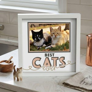 Può includere: Stampa con cornice bianca con una foto di due gatti, uno bianco e nero, l'altro arancione, sdraiati sull'erba. Le parole "BEST CATS ever" sono sotto la foto. Una piccola statuina di gatto e una ciotola di legno sono in primo piano.