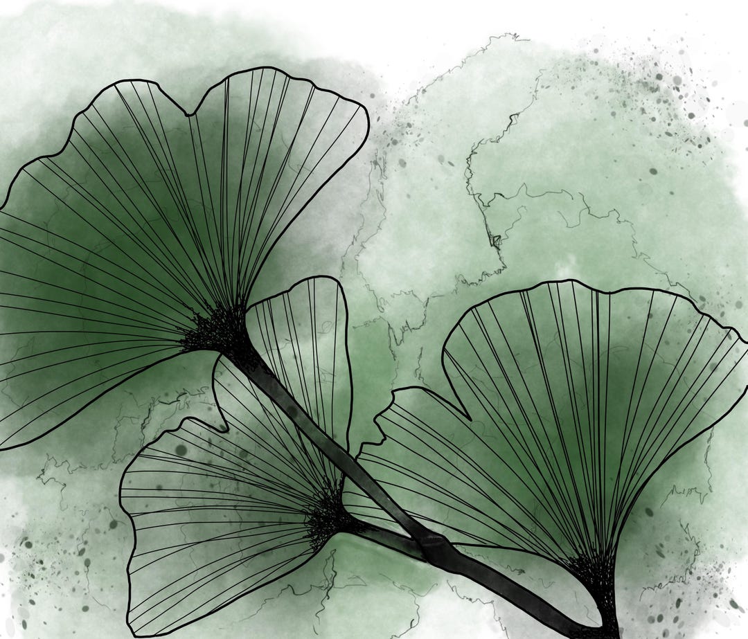 Free Hand Digital Drawing Example Ginkgo Leaves - Freehand Digital Drawing (rolled Poster) - Etsy