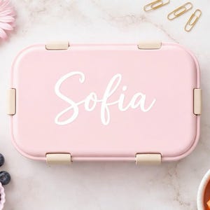 Könnte beinhalten: Eine rosa Lunchbox mit dem Namen "Sofia" in weißer Schrift. Die rechteckige Lunchbox hat abgerundete Ecken und beige Verschlüsse. Das Bild enthält auch eine Blume, Büroklammern und kleine Schalen mit Obst und Gemüse.