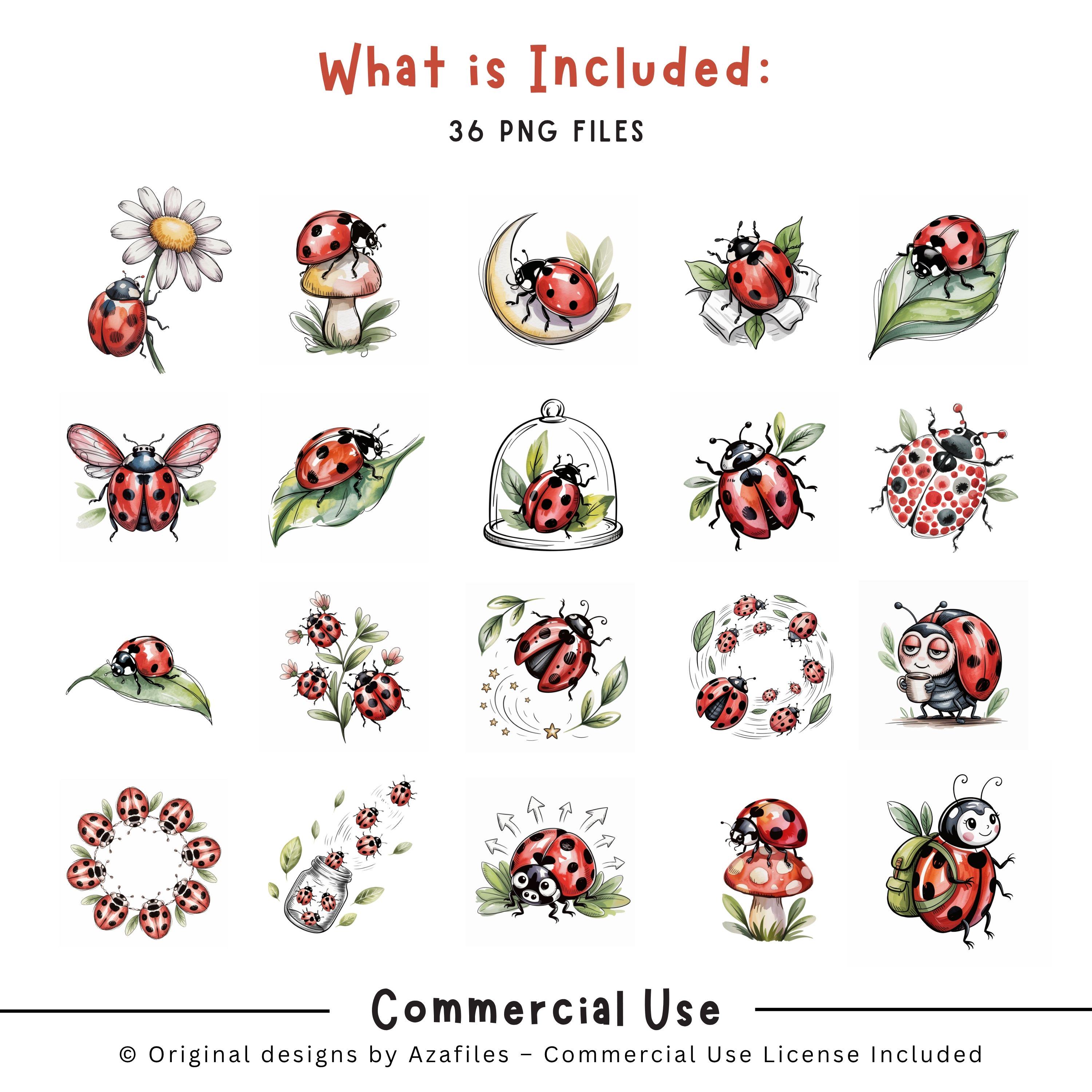 Ladybug PNG Clipart Bundle | Whimsical Watercolor Nature Designs - Etsy