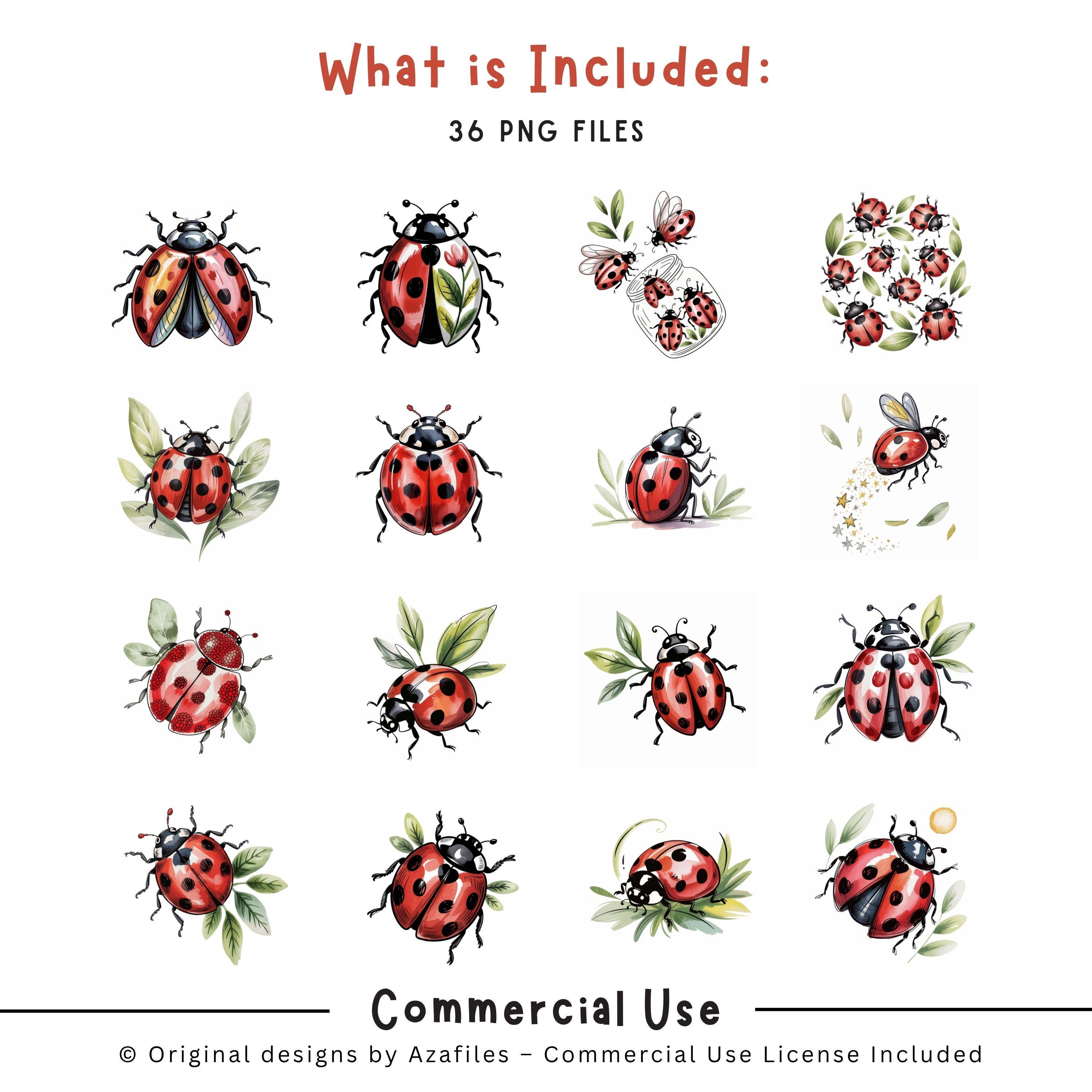 Ladybug PNG Clipart Bundle | Whimsical Watercolor Nature Designs - Etsy