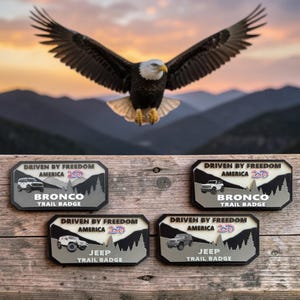 America's 250th Anniversary Badge for your Collection!!! image 4