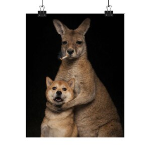 Smoking Kangaroo