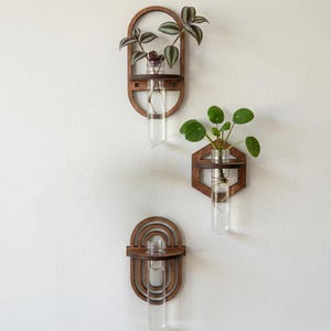 Może przedstawiać: Trzy drewniane donice ścienne ze szklanymi wazonami z probówek, każda z małymi roślinami. Donice mają różne kształty geometryczne: łuk, sześciokąt i półkole. Drewno jest w ciepłym brązowym kolorze, a rośliny mają zielone liście.