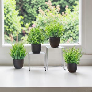 Könnte beinhalten: Vier Topfpflanzen mit leuchtend grünen Blättern sind auf einer weißen Oberfläche vor einem Fenster angeordnet. Die Pflanzen stehen in dunkelbraunen Töpfen, zwei davon auf kleinen, quadratischen Chromständern. Der Hintergrund zeigt verschwommenes grünes Laub.