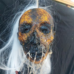 Shrunken Head / Handmade Shrunken Head / OAK / Free US shipping