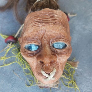 Shrunken Head / Handmade Shrunken Head / OAK / Free US shipping
