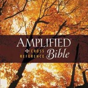 Puede incluir: La portada de la Biblia Amplificada con Referencias Cruzadas presenta un fondo de árboles otoñales con hojas naranjas y amarillas. El título "Amplified Bible" se muestra en blanco, con "Cross Reference" y "Bible" en una fuente contrastante.