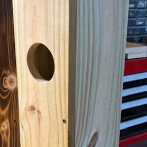 Caja de madera quemada para búhos: nido para búhos chillones y cernícalos