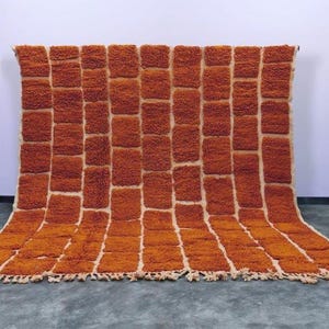 Rust Moroccan Geometric Grid Pattern Carpet, Warm Earth Tone Handmade Berber Wool Rug