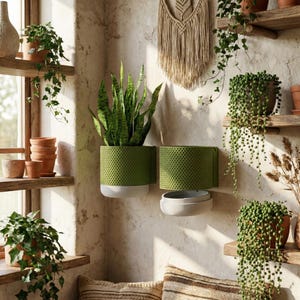 May include: An interior scene with a variety of potted plants. Two green, textured wall planters with white bases hold a snake plant. Other plants in terracotta pots sit on wooden shelves. A macrame wall hanging adds texture.