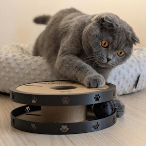 May include: A grey Scottish Fold cat with orange eyes plays with a black and brown cat toy. The toy has a spool design with paw print cutouts and a black ball. The cat is resting on a soft, light grey pet bed.