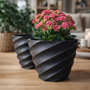 May include: Two black spiral-patterned flower pots, one filled with a flowering plant with pink blossoms and green leaves. The pots are on a wooden surface, with a blurred background of other plants and furniture.