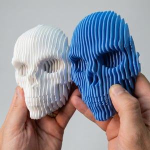 May include: Two 3D-printed skull sculptures, one white and one blue, are held in hands. The skulls are constructed from layered horizontal lines, creating a unique, textured effect. The blue skull is a vibrant shade, while the other is a clean white.
