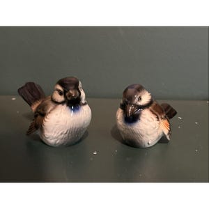May include: Two ceramic bird figurines. The birds have white bellies, brown wings, and dark blue and gray heads. One bird is facing left, and the other is facing right. The figurines are on a green surface.