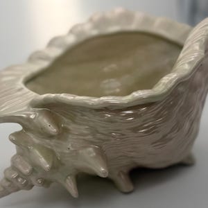 Puede incluir: Un cuenco decorativo con forma de concha nacarada. El cuenco de cerámica tiene una superficie texturizada con un borde estriado y una base en espiral. El cuenco es de color blanquecino y tiene un acabado brillante, adecuado para la decoración costera.