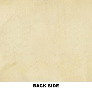 Peut inclure: Fond de papier beige clair textur&eacute; avec l'inscription "BACK SIDE" en gras et en noir en bas. Le papier pr&eacute;sente un aspect vintage et vieilli avec de subtiles variations de couleur et de texture.