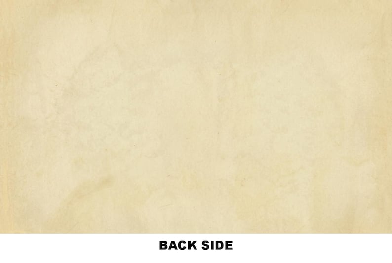 Peut inclure: Fond de papier beige clair textur&eacute; avec l'inscription "BACK SIDE" en gras et en noir en bas. Le papier pr&eacute;sente un aspect vintage et vieilli avec de subtiles variations de couleur et de texture.