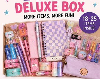 2 Scoop Deluxe Mystery Box | 18-25 Stationery Items, School Supplies